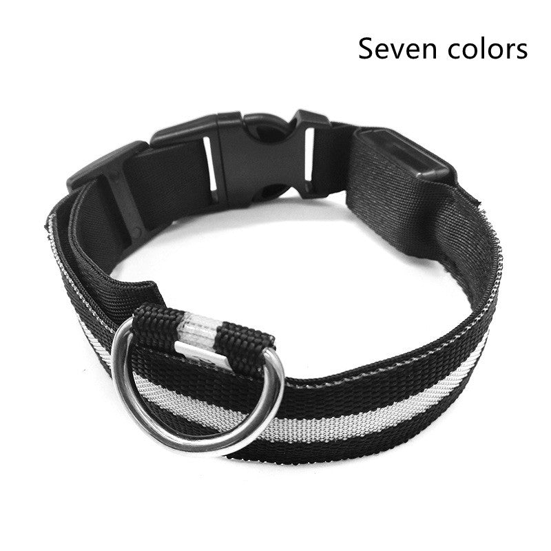 nylon LED dog collar