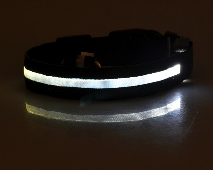 nylon LED dog collar