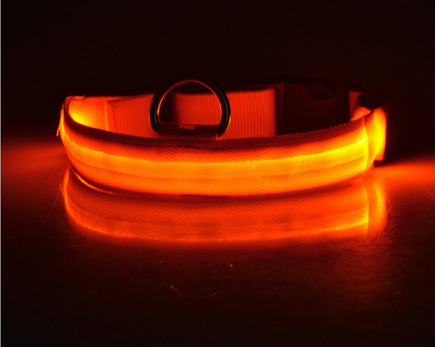 nylon LED dog collar