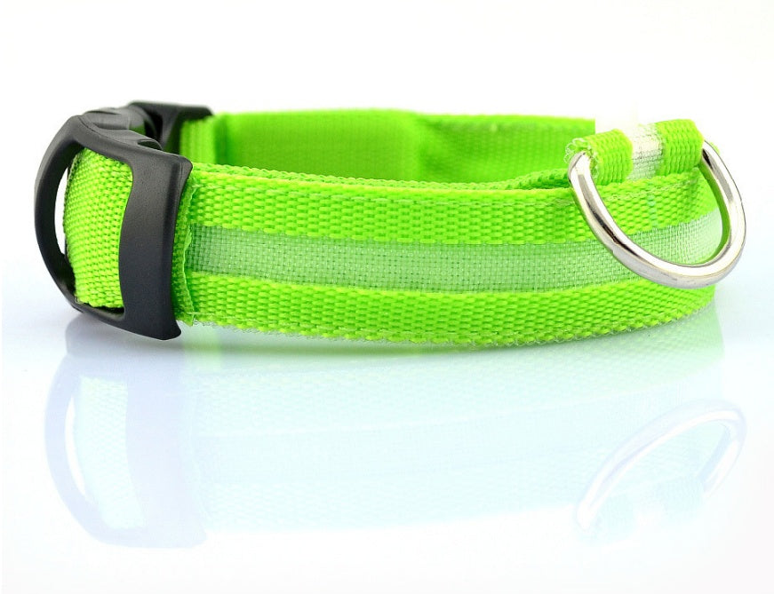 nylon LED dog collar