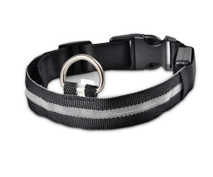 nylon LED dog collar