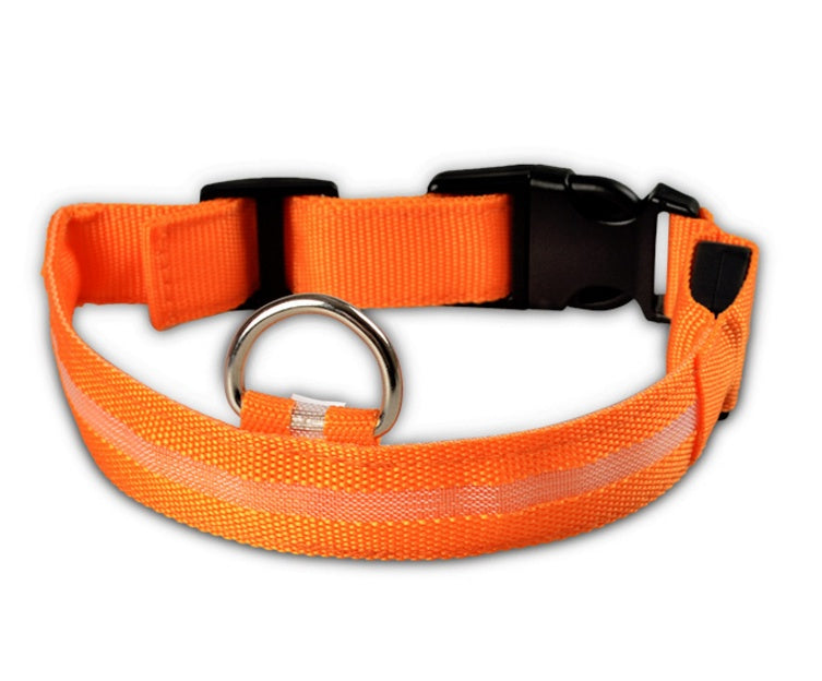 nylon LED dog collar