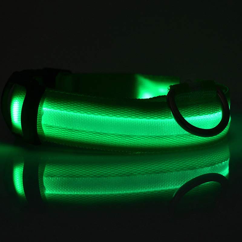 nylon LED dog collar