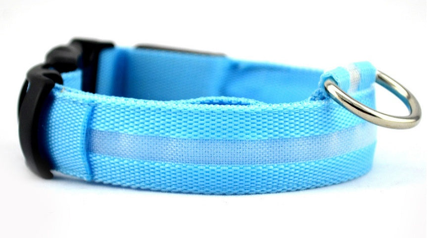 nylon LED dog collar