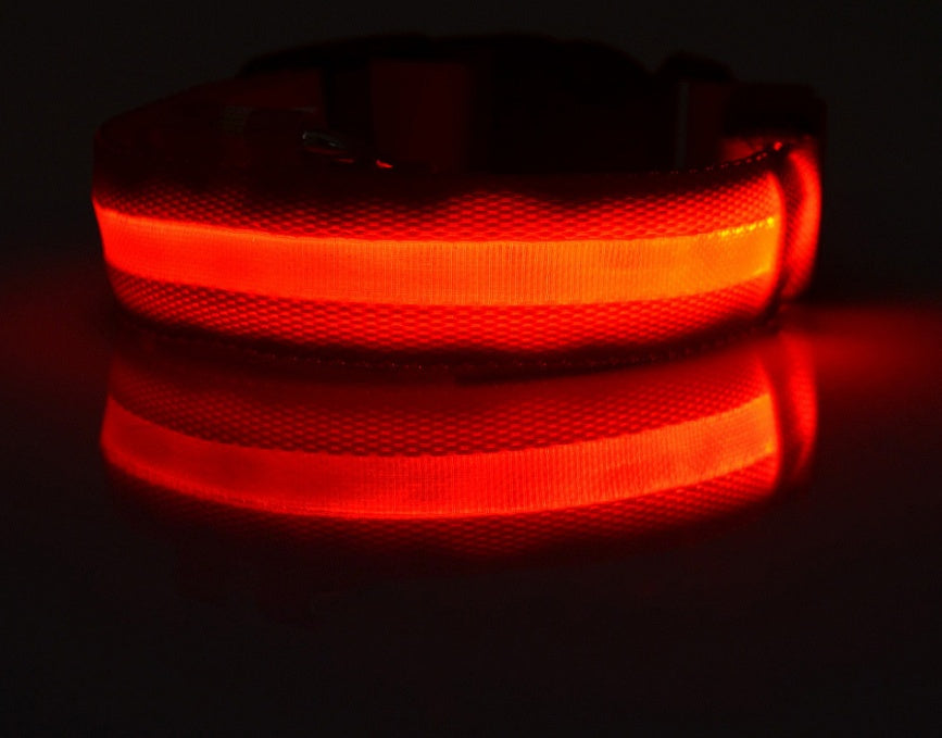 nylon LED dog collar