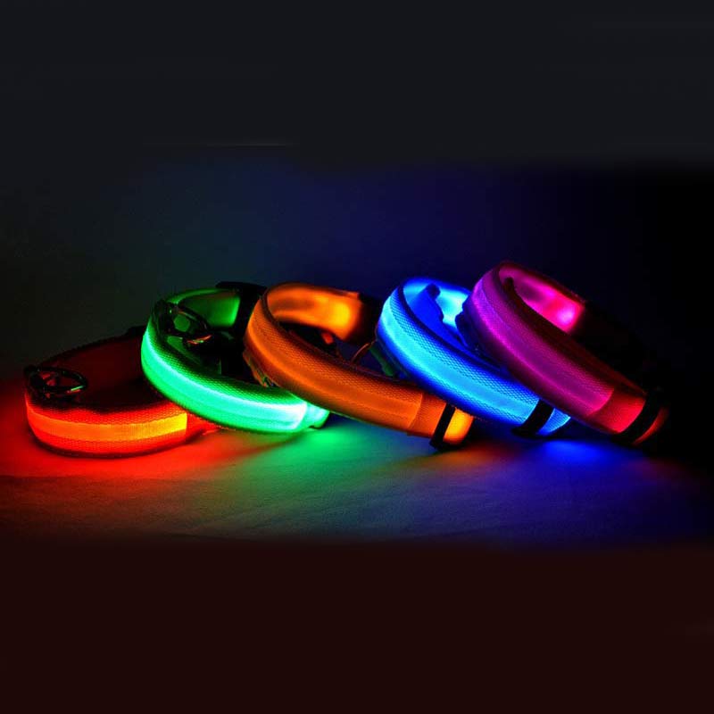 nylon LED dog collar
