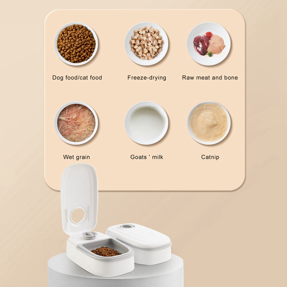 Automatic food dispenser pet