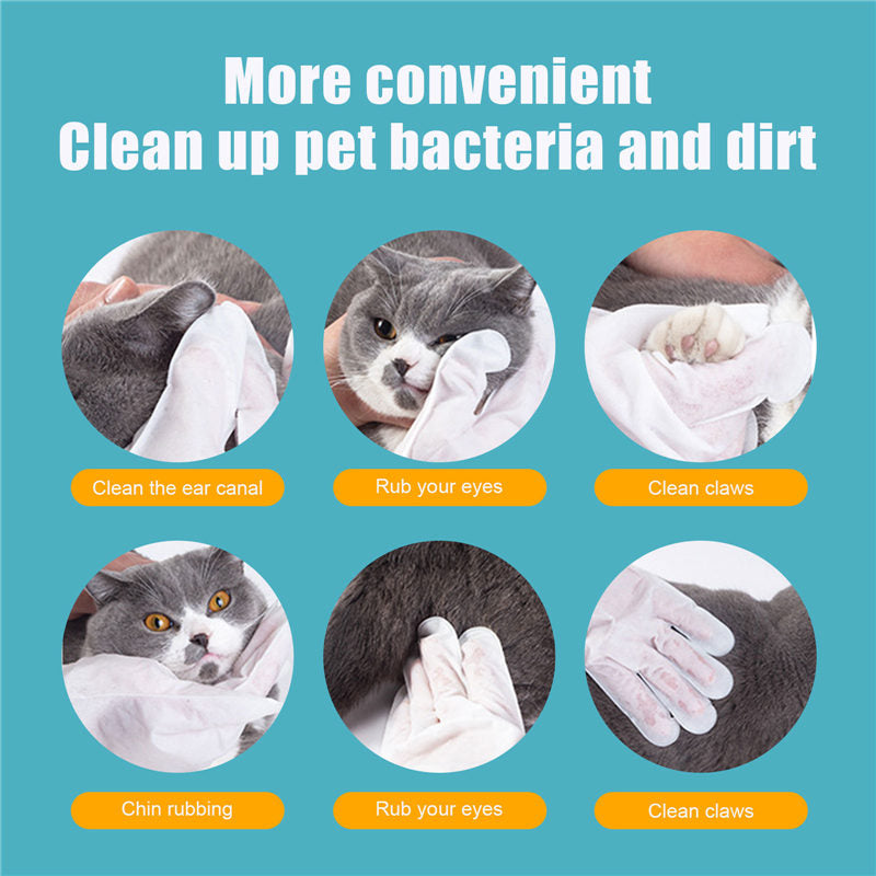pet wipes gloves
