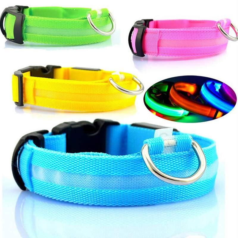 nylon LED dog collar
