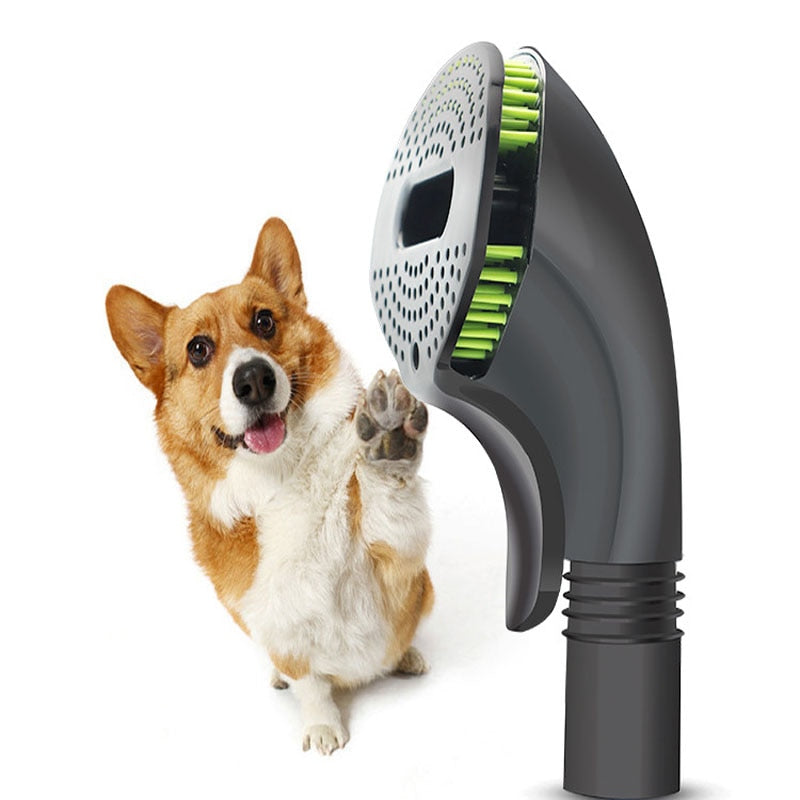 pet hair removal brush