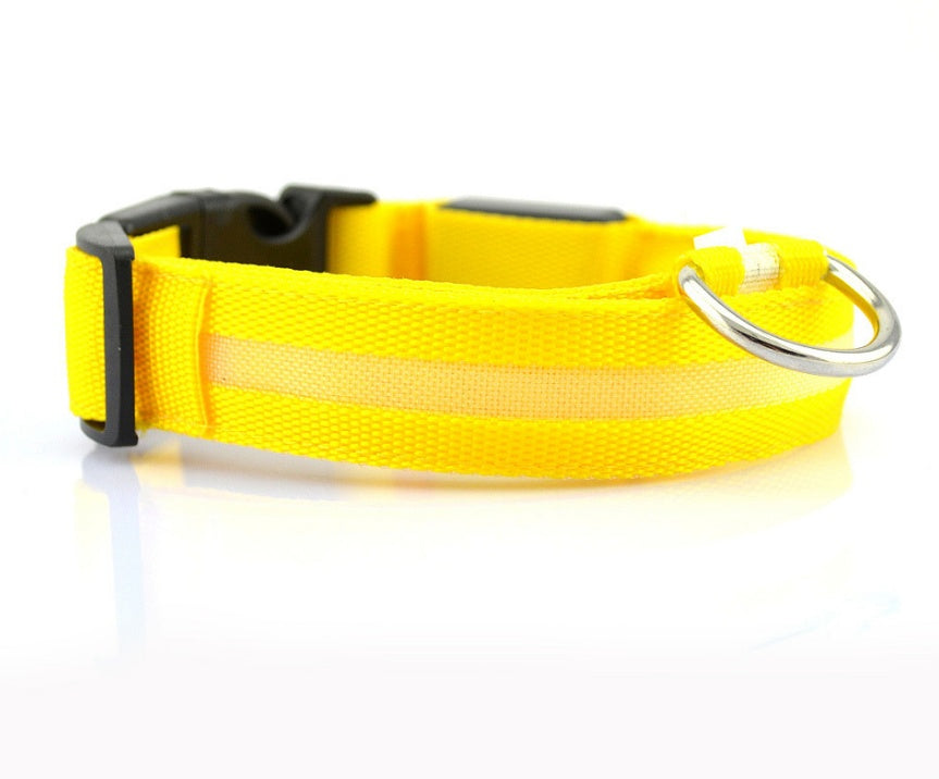 nylon LED dog collar