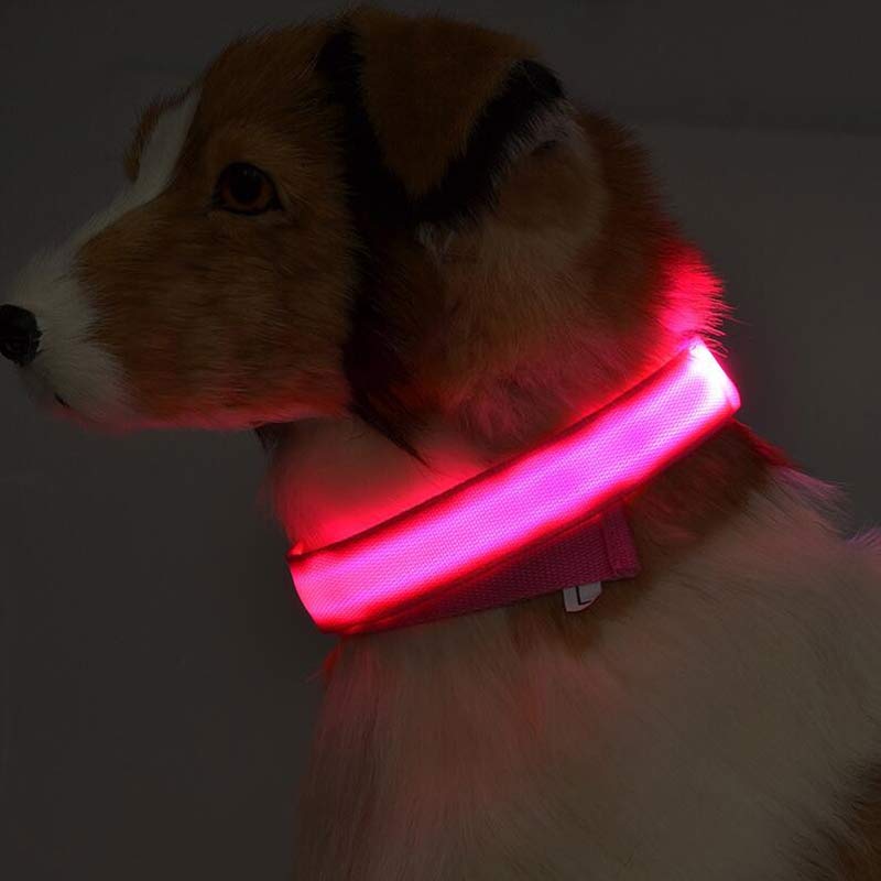 nylon LED dog collar