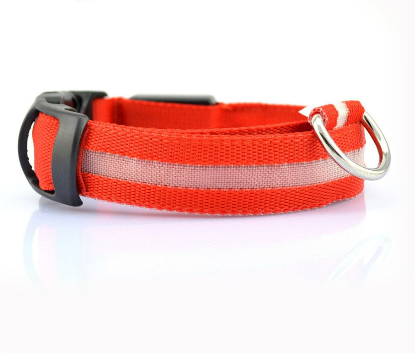 nylon LED dog collar