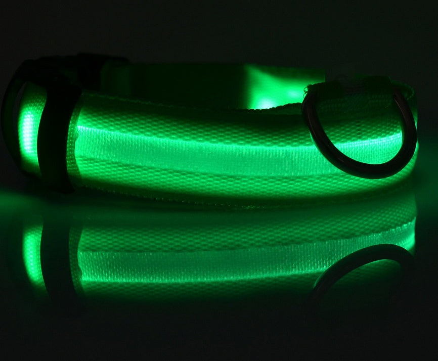 nylon LED dog collar