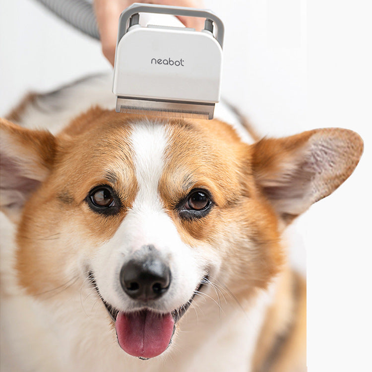 PREMIUM Pet grooming &shaving tool